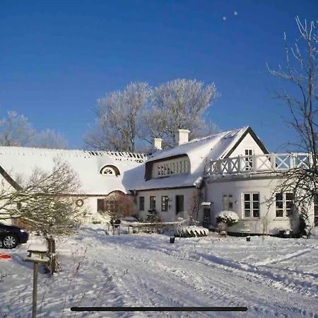 Kongsholmlund - Silent Retreat Villa Vejby Eksteriør billede